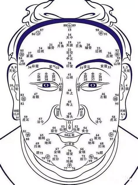 鼻子 面向|史上最全的面相五官“算命”图文详解（精品收藏）